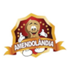 DOCE PE CROCANTE PT C/20 700G AMENDOLANDIA 