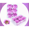 FORMA P/DOCES VENEZA C/40 LILAS TULIPA *CP02