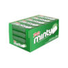 PASTILHA MINTY HORT C/20 DOCILE *CP01