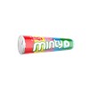 PASTILHA ROLLY MINTY FRUIT C/16 *CP01