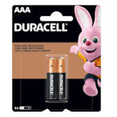 PILHA DURACELL PAL AAA C/02 *CP02