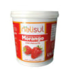 PRE.DE FRUTAS NELISUL 1,1KG-MORANGO